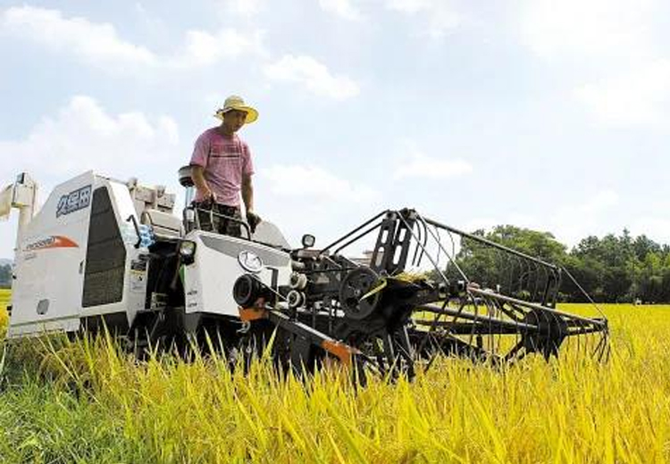 开云手机官方版页面登录入口集团开展“我为收割队伍送清凉”慰问活动