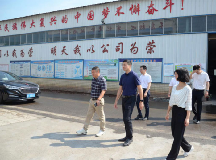泸县县委书记肖刚一行莅临开云手机官方版页面登录入口集团总部基地调研